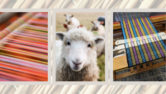 From left to right: a loom with multi colored yarn; a sheep looking at the viewer; a loom with rainbow colored yarn.